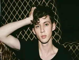 Troye Sivan 37张专辑单曲歌曲合集 百度云网盘下载[FLAC/MP3 2.99GB]