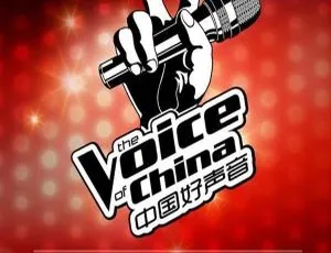 2014群星《中国好声音》第三季第三期 FLAC 分轨 317M 百度盘资源-小文资源网