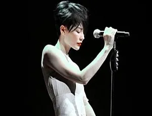 61张专辑！王菲歌曲合集百度云网盘下载（FLAC、WAV、APE、MP3 30.28GB）