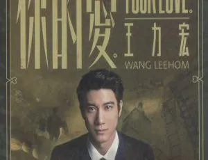 2015 香港王力宏《你的爱》WAV 整轨 389.5M 百度盘资源-小文资源网