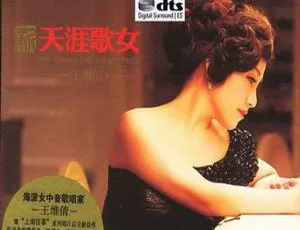 2015内地王维倩《新天涯歌女》DTS-WAV分轨379M 百度盘资源-小文资源网