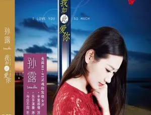 2016香港孙露《我如此爱你DSD》380.5M WAV_CUE 百度盘资源