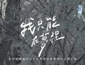 内地赖慈泓《我只能在梦里》2018 国语 MV 107MB 百度网盘资源