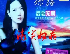 2015 内地孙露新专辑《后会无期》HQ2CD 高品质 WAV+CUE 536.3M 百度盘资源