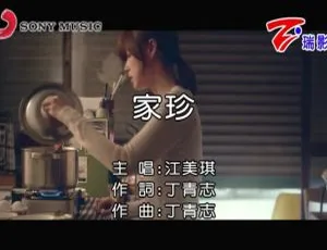 2018内地国语MV：江美琪《家珍》144MB百度网盘资源