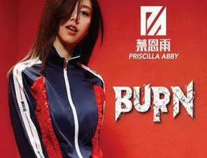 2017内地蔡恩雨《Burn》WAV分轨168.4M 百度盘资源