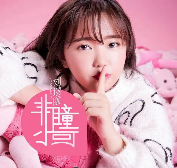 [2017][内地][刘增瞳]《非瞳小可》FLAC_分轨_232.2M[百度盘]