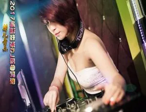 2017 内地群星超好听 DJ 舞曲精选 115 首 WAV 分轨 756M 百度盘资源