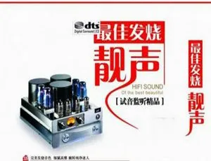 2017内地群星《2017最佳发烧靓声》2CD_DTS-WAV分轨631.5M 百度盘资源-小文资源网