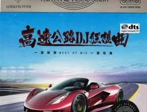 2017内地群星《高速公路DJ狂想曲》3CD DTS-WAV分轨 678.1M 百度盘资源