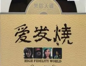2017内地群星《爱发烧HIFI体验》2CD 百度盘610.3M DTS-WAV分轨资源