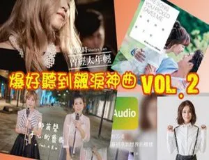 2017内地群星《爆好听到飙泪神曲vol.2》WAV分轨680.8M 百度盘资源