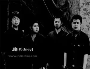 2003 - 2014 腰乐队 5 张专辑歌曲合集：百度云网盘 FLAC/MP3 共 1.93GB 资源下载