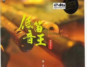 2017内地谭炎健《低音笛王》DTS-WAV 450M 百度盘分轨资源
