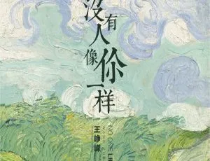 2017内地王峥嵘《没有人像你一样》FLAC分轨315.7M 百度盘资源