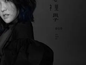 2017内地徐佳莹《心里学》ALAC分轨321.4M 百度盘资源