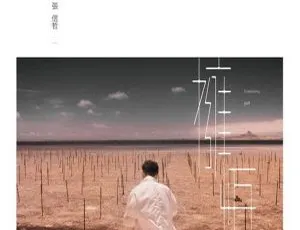 2017 内地张信哲《拥恒》DTS-WAV 分轨 389.8M 百度盘资源