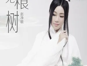 2017 内地赵净颐《无根树》WAV 分轨 338.8M 百度盘资源