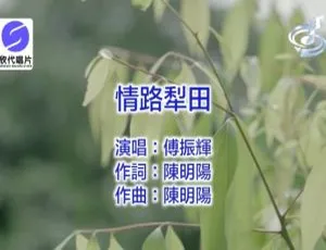 2018 内地傅振辉《情路犁田》国语 MV 141MB 百度网盘资源-小文资源网