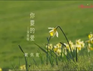 2018 内地国语深夜版戴佩妮《你要的爱》MV 213MB 百度网盘下载