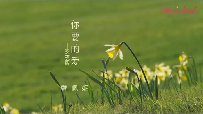 [2018][内地][国语-MV][戴佩妮-你要的爱(深夜版)][MPG][213MB][百度网盘]