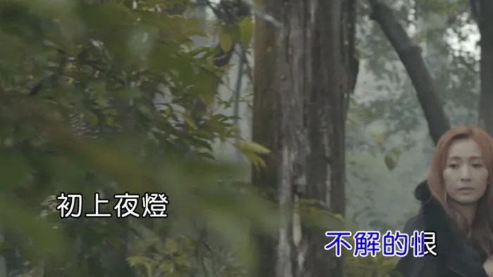 [2018][内地][国语-MV][安苡葳-重圆][MPG][120MB][百度网盘]