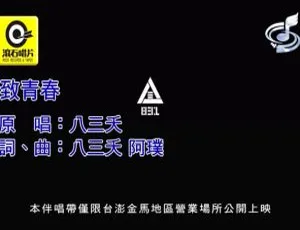 2018 内地八三夭《致青春》国语 MV 203MB 百度网盘资源