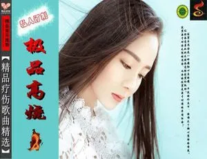 2017 群星《极品高烧(2)》超高品质 FLAC+CUE 638.8M 百度盘资源