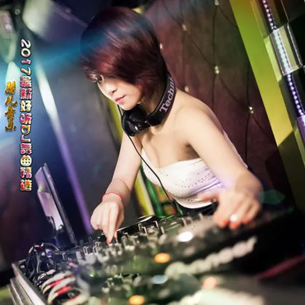 [2017][群星]《2017最新好听DJ舞曲精选15》WAV分轨_869.8M[百度盘]