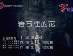 2018 内地邓紫棋《岩石里的花》国语 MV 134MB 百度网盘资源