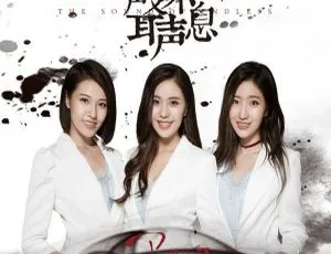 2018 内地黑鸭子《声声不息》FLAC 分轨 332.6M 百度盘资源