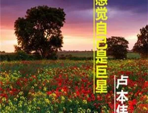 2018 内地卢本伟《感觉自己是巨星》APE 分轨 321.7M 百度盘资源