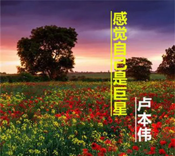 [2018][内地][卢本伟]《感觉自己是巨星》APE分轨_321.7M[百度盘]