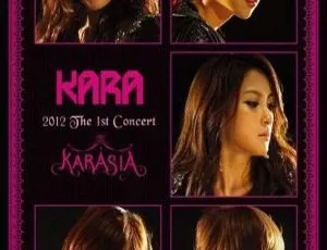 KARA 2012韩国首尔演唱会3DVD ISO 12.55GB 百度网盘资源