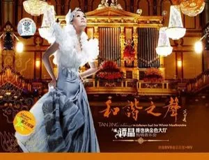 谭晶维也纳金色大厅独唱音乐会 2DVD（3.97GB+2.64G）大陆演唱会资源 百度网盘