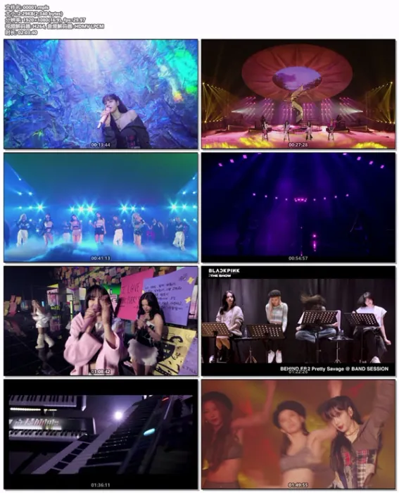 [BD韩国演唱会][BLACKPINK 블랙핑크 – BLACKPINK 2021 [THE SHOW][BDISO][33.8G][百度网盘]