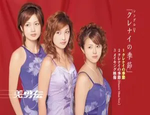 美勇伝2005日本演唱会《クレナイの季節》DVD ISO 1.45GB 百度网盘资源