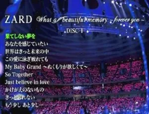坂井泉水日本演唱会 20 周年：What a beautiful memory 2DVD 珍藏（6.56G+4.82G）百度网盘资源