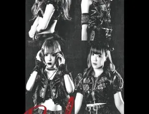 LADYBABY 2020日本Liquidroom终极演唱会DVD ISO 6.98GB百度网盘资源