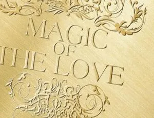 愛内里菜日本演唱会 10 周年纪念：RINA AIUCHI THANX 10th ANNIVERSARY LIVE - MAGIC OF THE LOVE - 2010 2DVD ISO 9.27GB 百度网盘资源