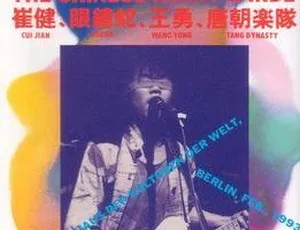 1993年柏林中国摇滚演唱会DVD大陆版 3.2G高清资源（百度网盘）-小文资源网