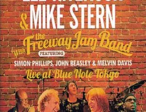 Lee Ritenour 与 Mike Stern 2011 年东京蓝调之音符现场 BD 演唱会资源 21.4G 百度网盘