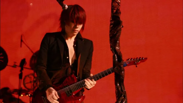 [BD日本演唱会][灰色银币 Dir en grey – DUM SPIRO SPERO AT NIPPON BUDOKAN 2014 武道馆演唱会][BDMV 2BD][64.4G][百度网盘]