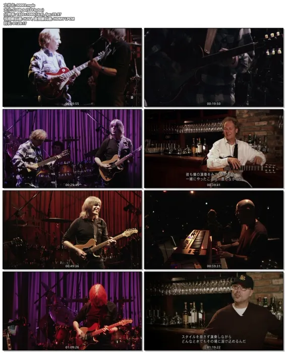 [BD日本演唱会][Lee Ritenour & Mike Stern – Live at Blue Note Tokyo 2011][BDISO][21.4G][百度网盘]