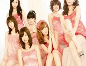 Berryz工房日本演唱会DVD：2011年单曲V剪辑⑤ 4.14GB 百度网盘资源-小文资源网