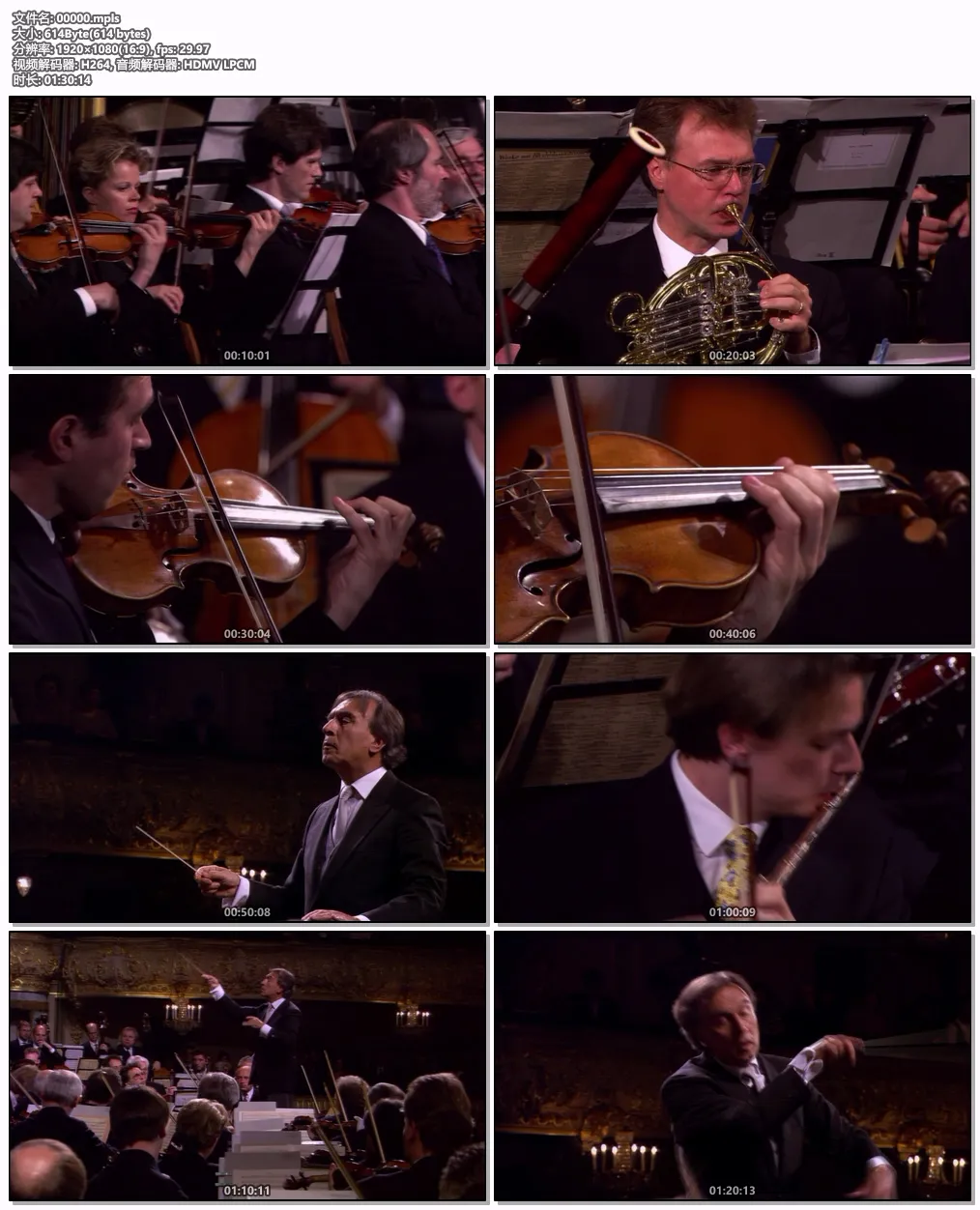 [BD欧美演唱会][欧洲音乐会 Europakonzert 1996 from St. Petersburg][BDMV][20.7GB][百度网盘]