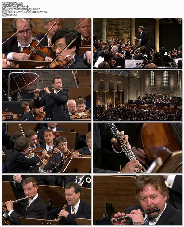 [BD欧美演唱会][欧洲音乐会 Europakonzert 2001 from Istanbul][BDMV][21.6GB][百度网盘]