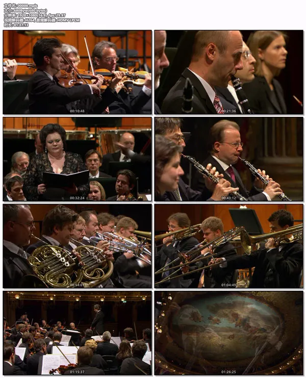 [BD欧美演唱会][欧洲音乐会 Europakonzert 2009 from Naples][BDMV][22.2GB][百度网盘]