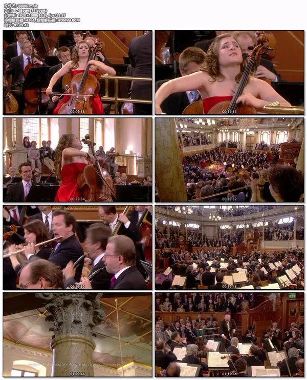 [BD欧美演唱会][欧洲音乐会 Europakonzert 2010 from Oxford][BDMV][20.8GB][百度网盘]