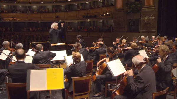 [BD欧美演唱会][欧洲音乐会 Europakonzert 2011 from Madrid][BDMV][27.1GB][百度网盘]